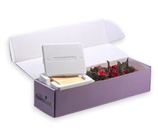 flower mailing boxes