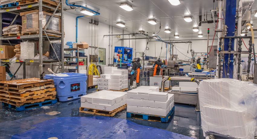 ALTOR Boston Sword and Tuna-18