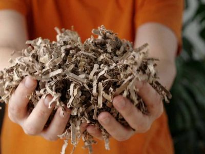 Sustainability1-low-res