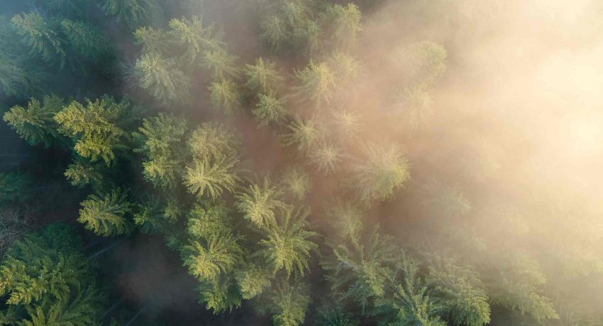 beautiful-scenery-with-light-rays-shining-through-Altor-Solutions